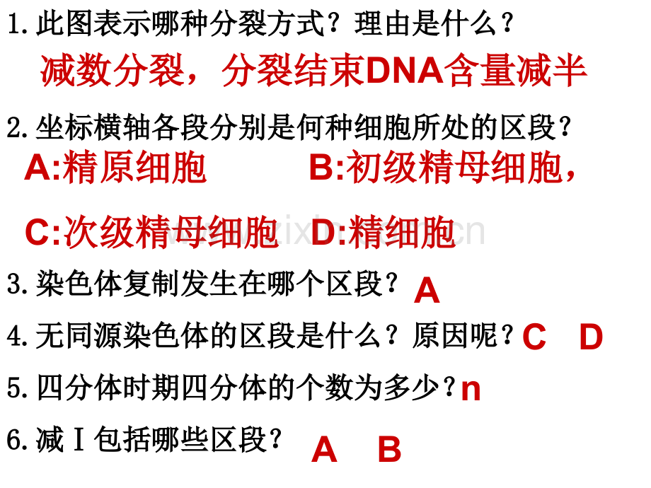 卵细胞的形成及受精作用用.pptx_第2页