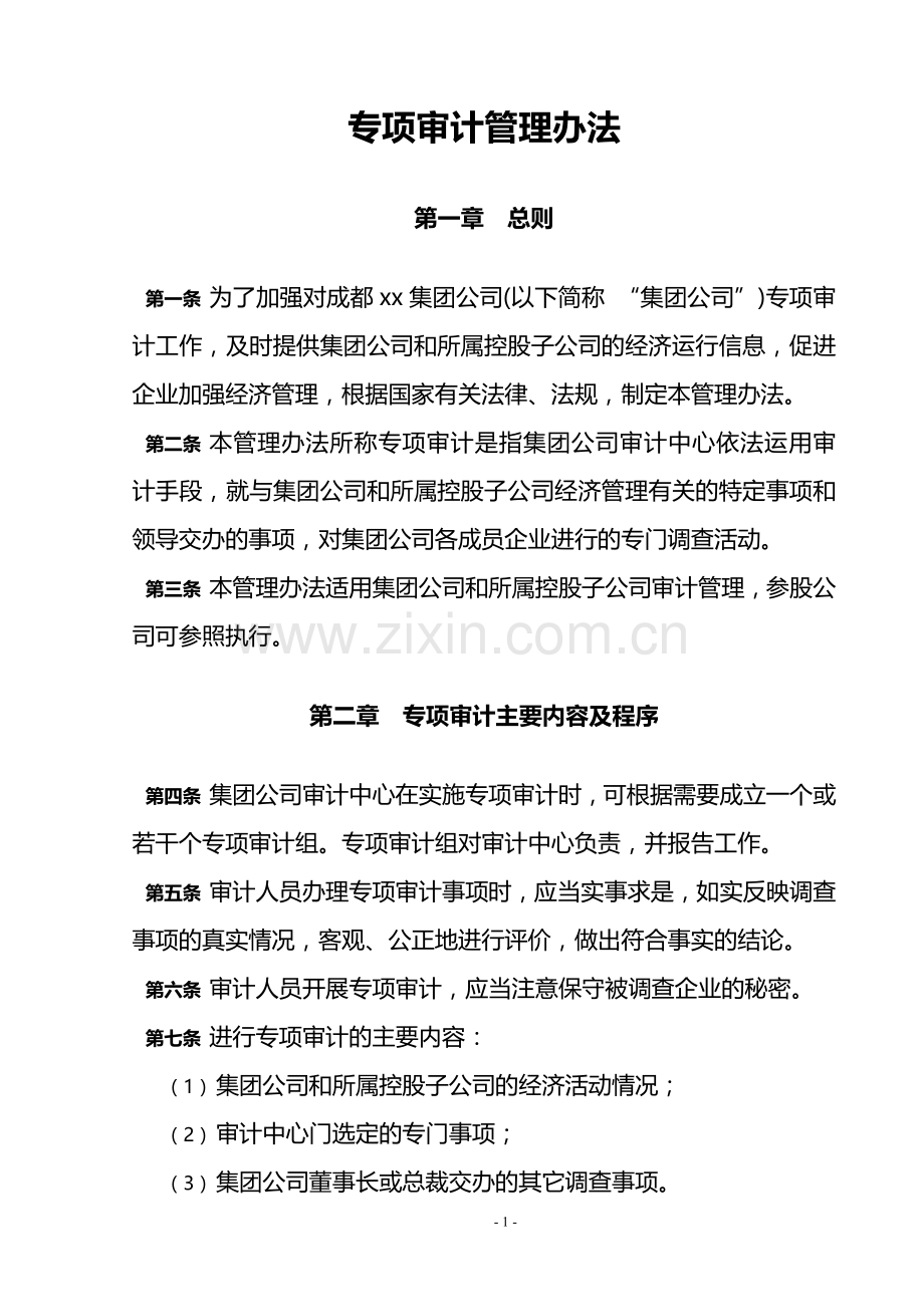 集团公司专项审计管理办法.doc_第1页