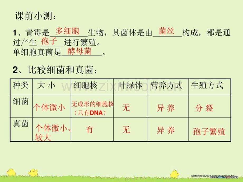 第四节细菌和真菌自然界中的作用图文.pptx_第1页