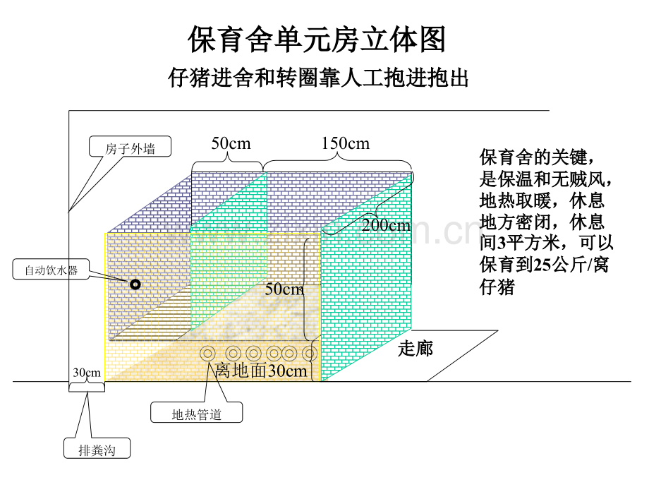 猪圈建筑图纸--保育舍示意图.pptx_第1页