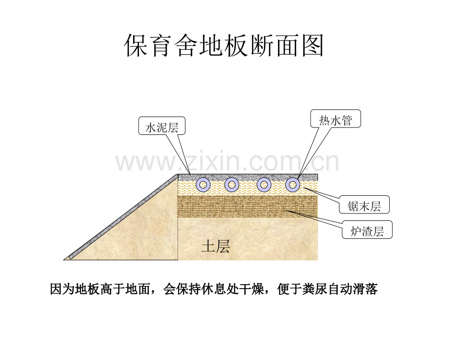 猪圈建筑图纸--保育舍示意图.pptx_第2页