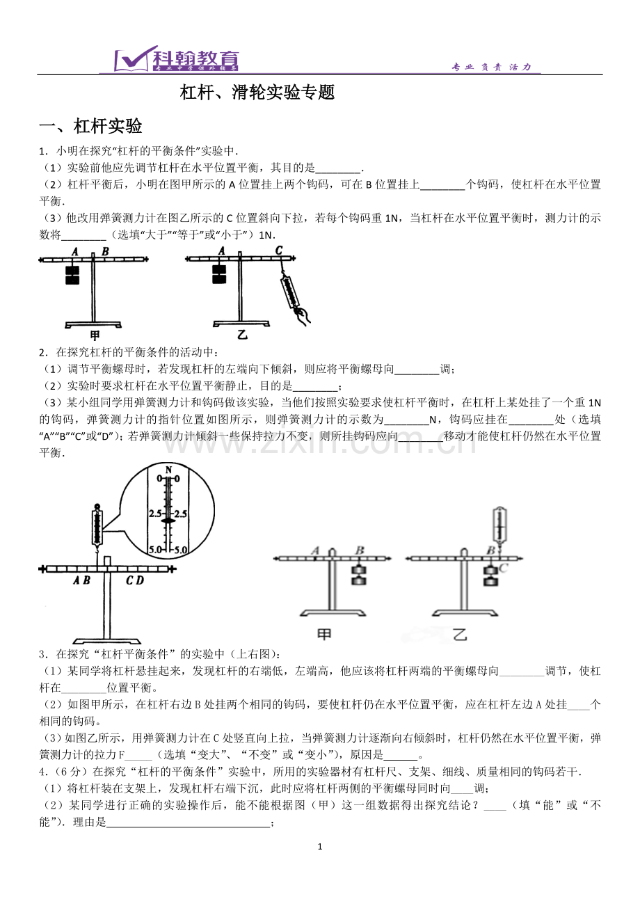 杠杆机械效率专题实验及答案.doc_第1页