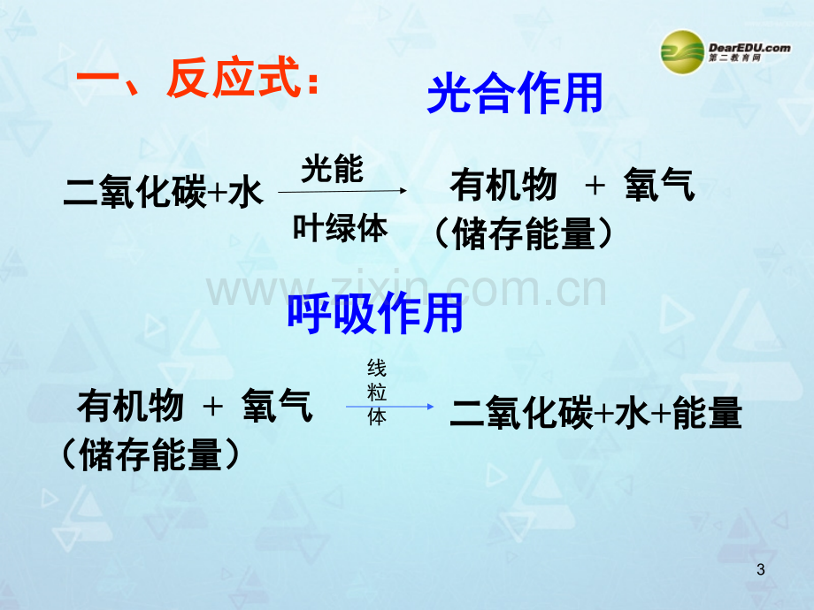 光合作用和呼吸作用复习-(课堂PPT).ppt_第3页