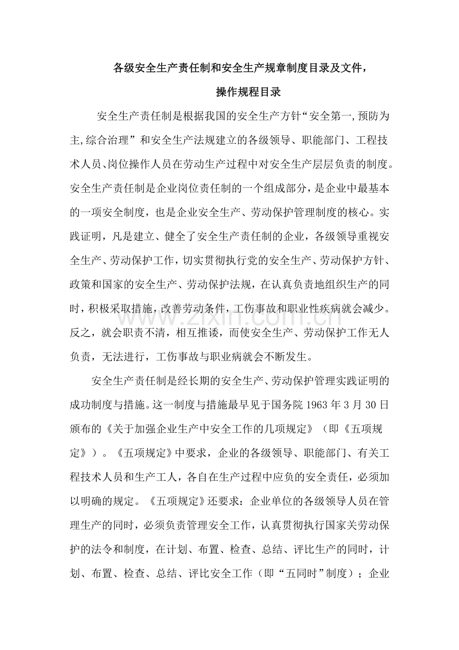 各级安全生产责任制和安全生产规章制度目录及文件操作规程目录.doc_第1页