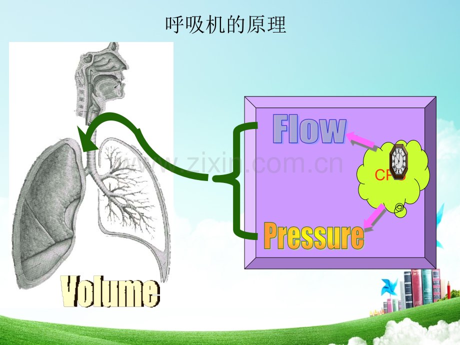 呼吸机使用.pptx_第3页