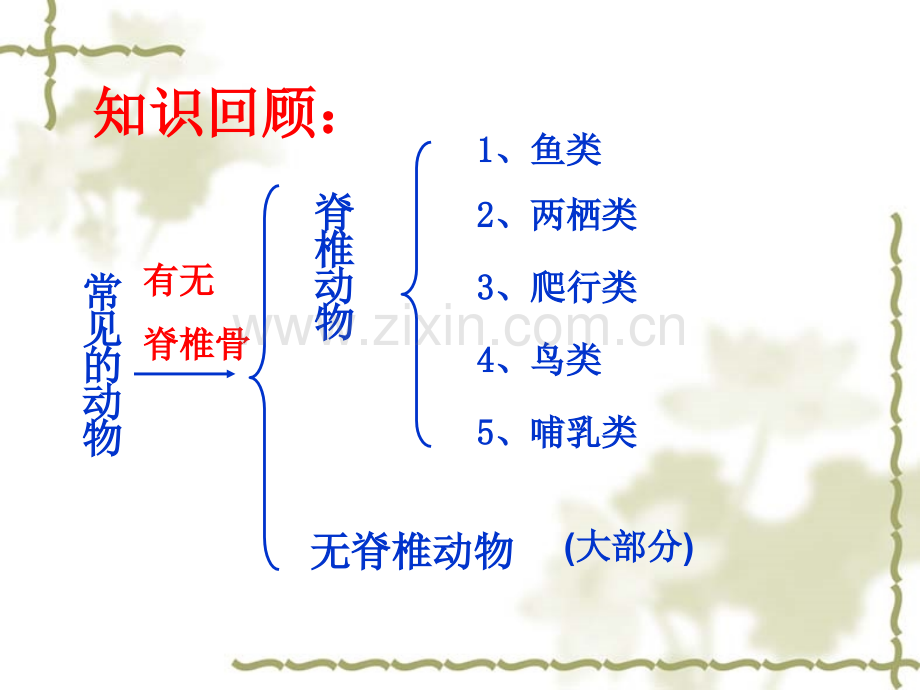 科学无脊椎动物.pptx_第1页