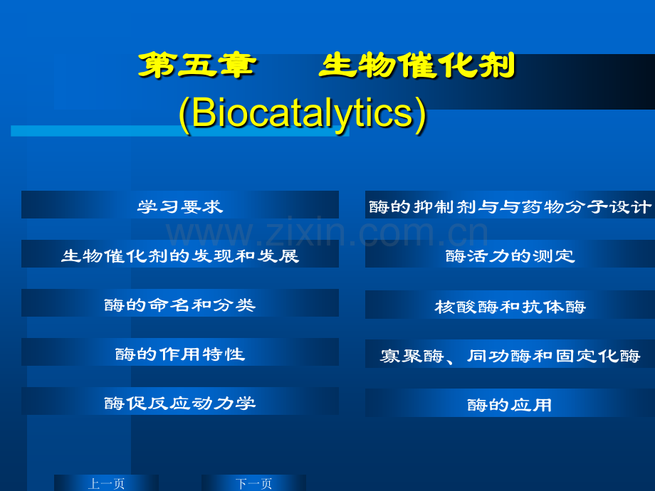 华东理工生物化学chap05.pptx_第2页