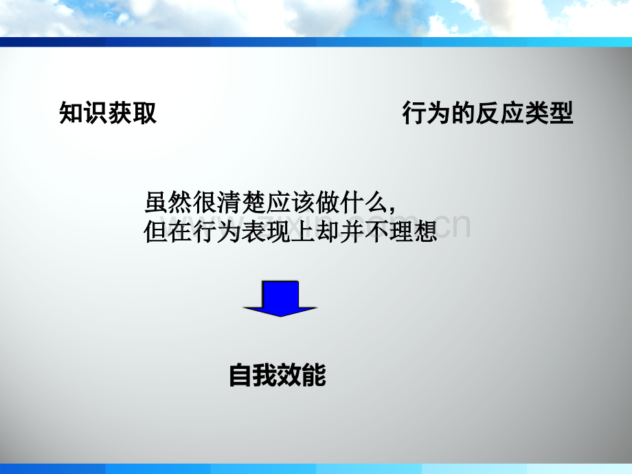 老年人自我效能理论.pptx_第2页