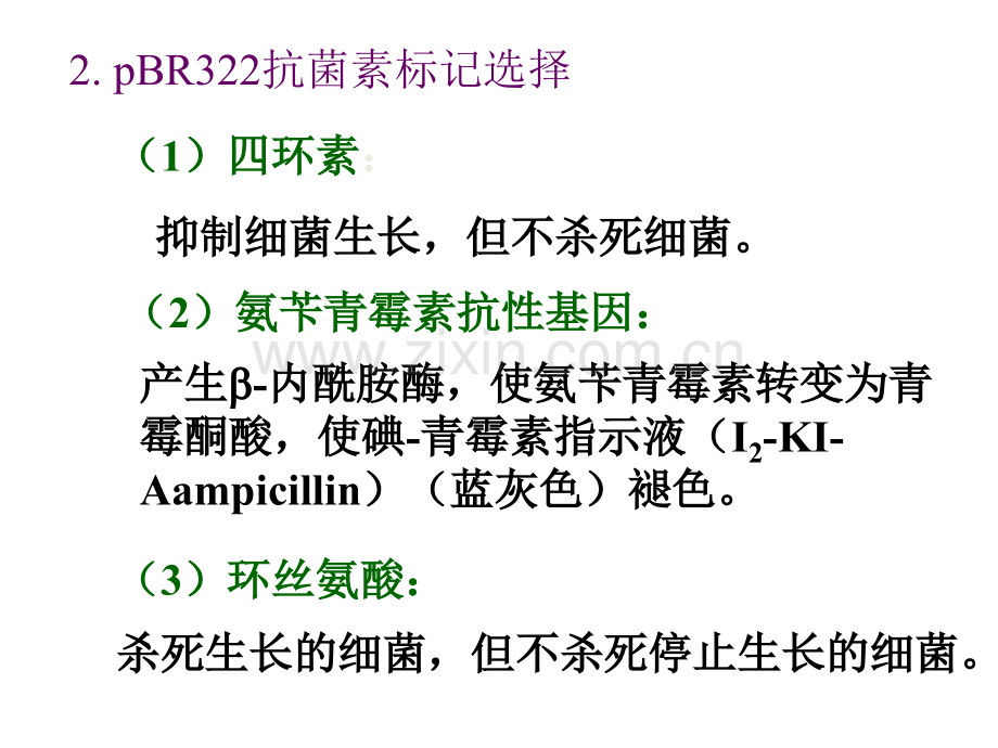 重组体克隆筛选和鉴定.pptx_第3页