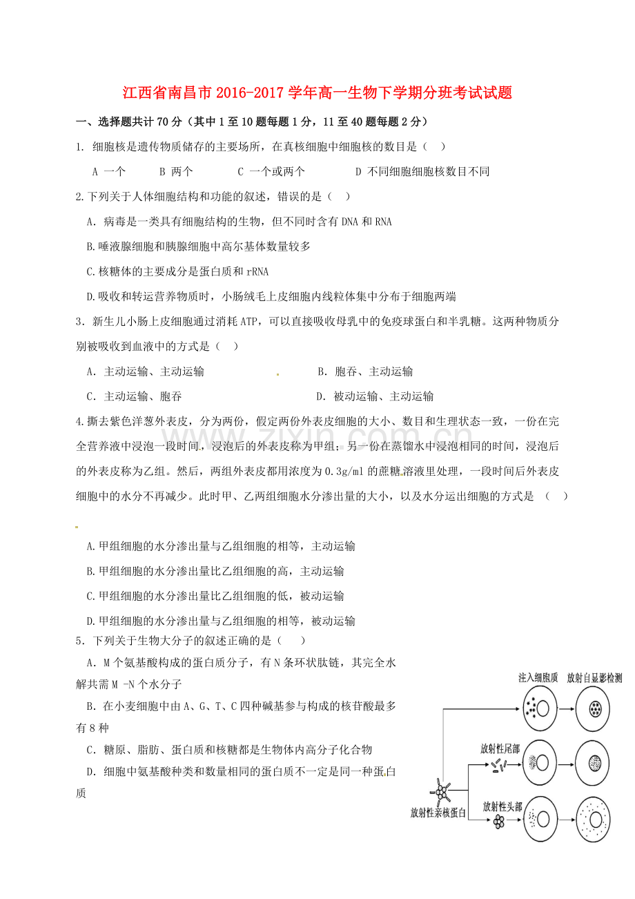 高一生物下学期分班考试试题.doc_第1页