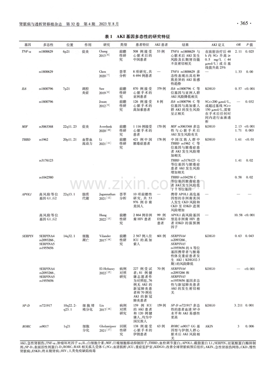 急性肾损伤基因多态性的研究进展.pdf_第3页