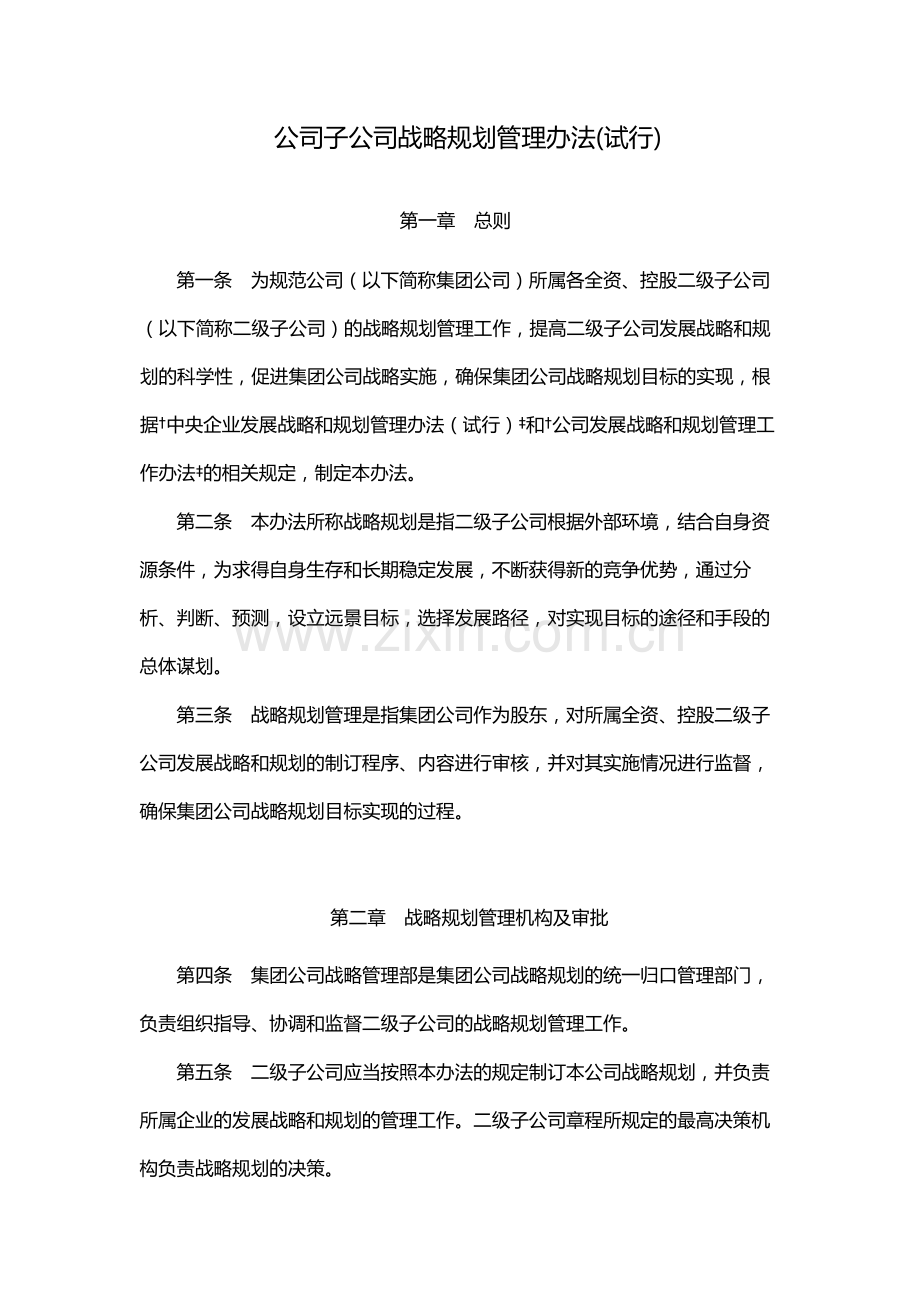 国有公司子公司战略规划管理办法(试行)模版.docx_第1页