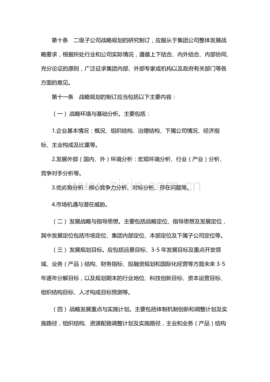 国有公司子公司战略规划管理办法(试行)模版.docx_第3页