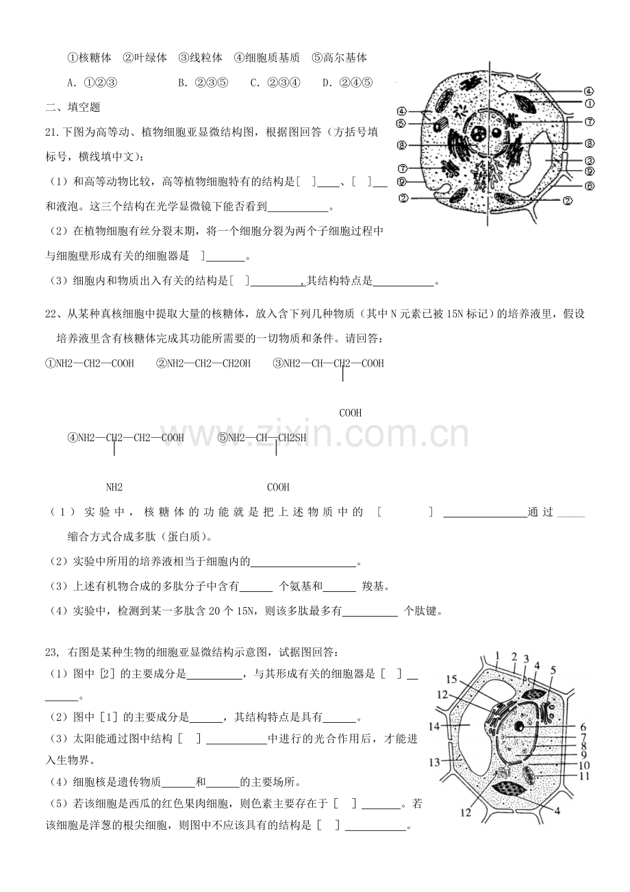 高一生物上学期第11周试题.doc_第3页