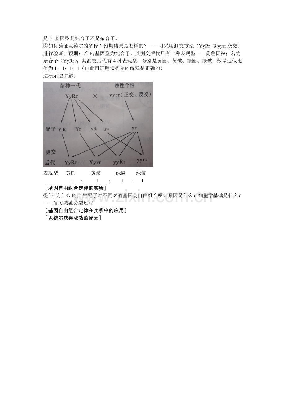 基因的自由组合定律教学设计.doc_第3页