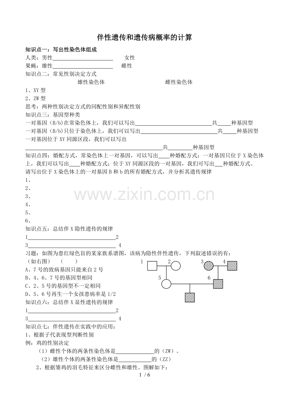 伴性遗传和遗传病概率计算.doc_第1页