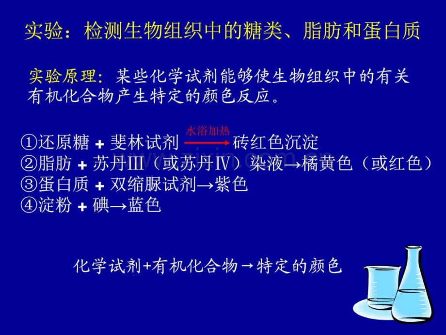 检测生物组织中的糖类、脂肪和蛋白质图文.pptx_第2页