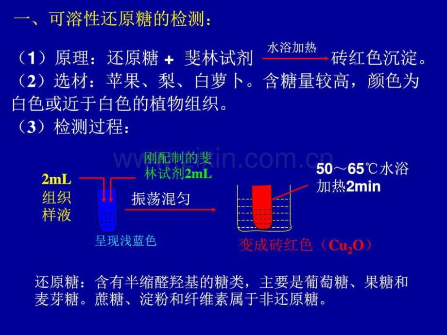 检测生物组织中的糖类、脂肪和蛋白质图文.pptx_第3页