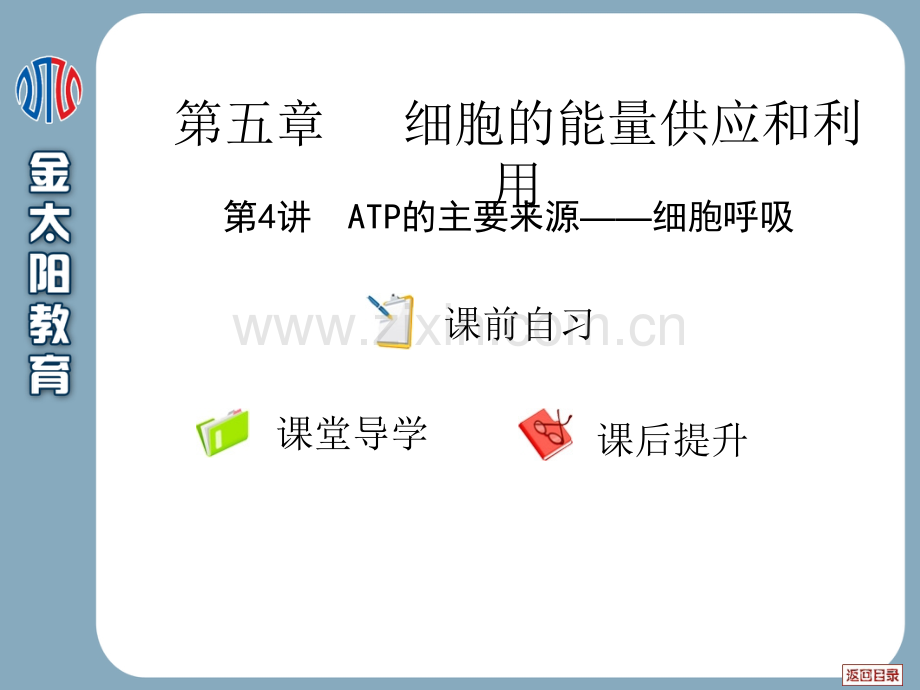 细胞的能量供应和利用ATP的主要来源——细胞呼吸.pptx_第2页