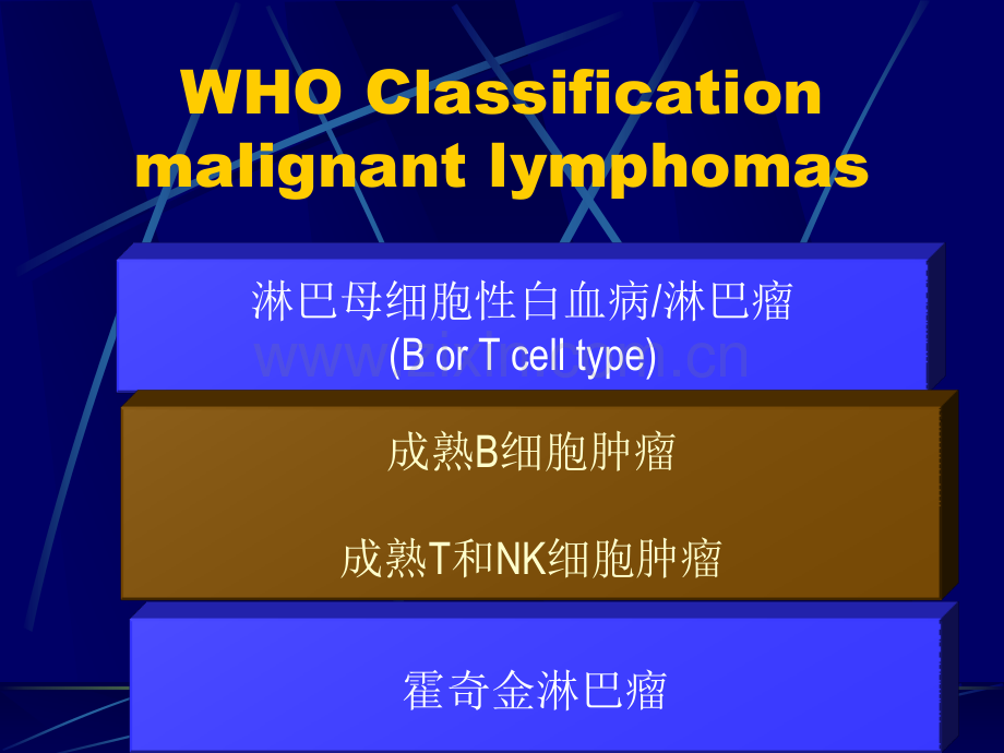 淋巴瘤分类.pptx_第3页