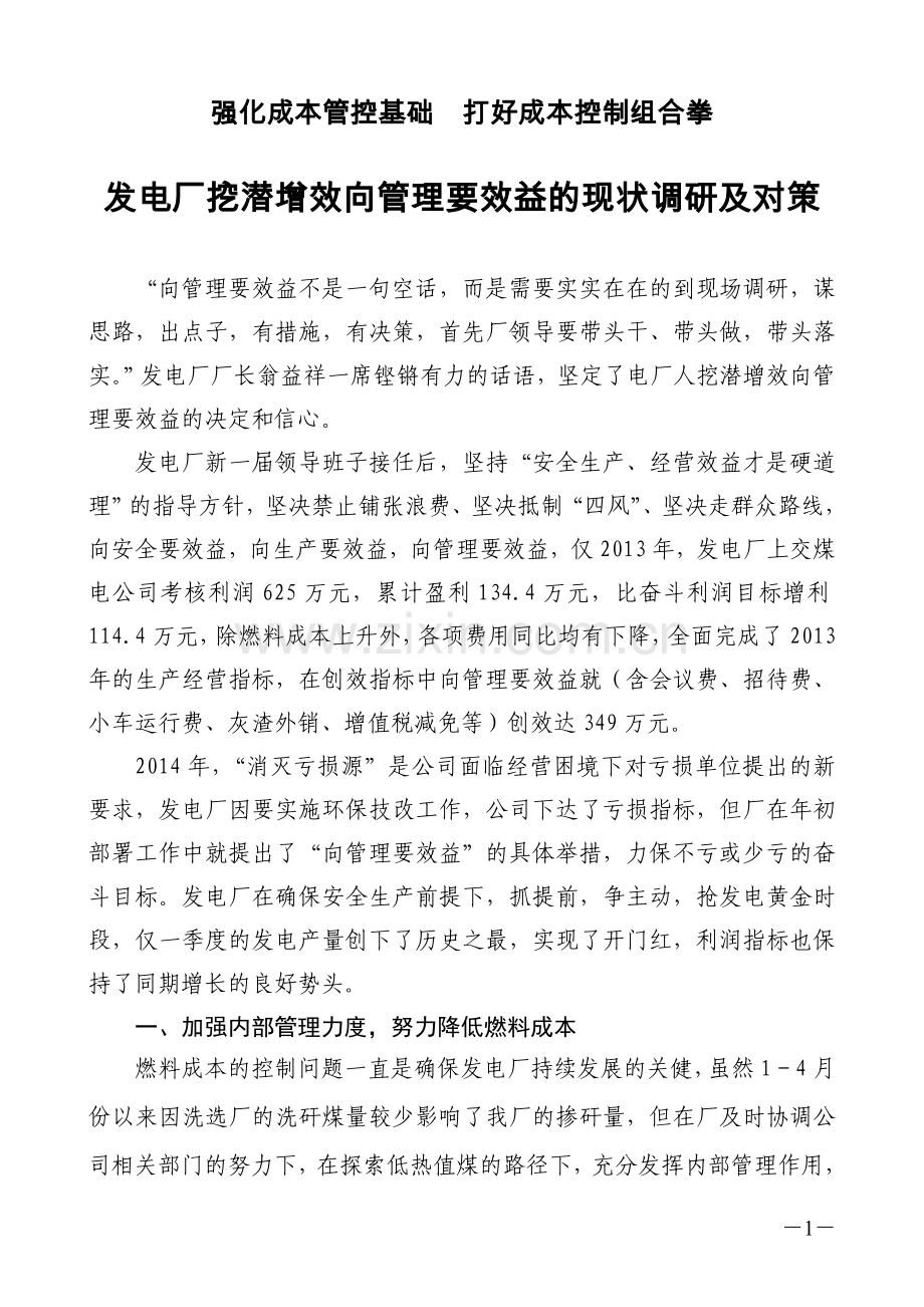 发电厂挖潜增效向管理要效益的现状调研及对策.doc_第1页