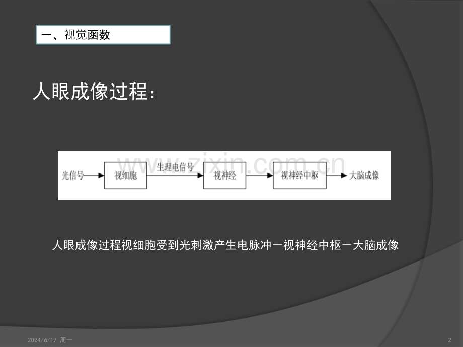 视觉函数和外量子效率的计算方法.pptx_第2页