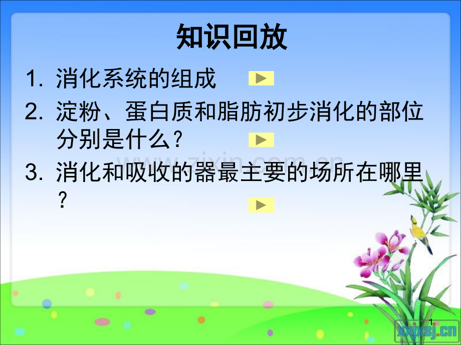 营养物质的吸收和利用(课堂PPT).ppt_第1页