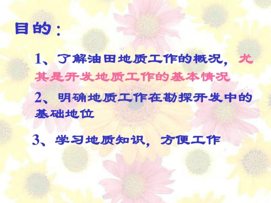 开发地质工作简介一计算机软件及应用IT计算机专业资料.pptx_第2页