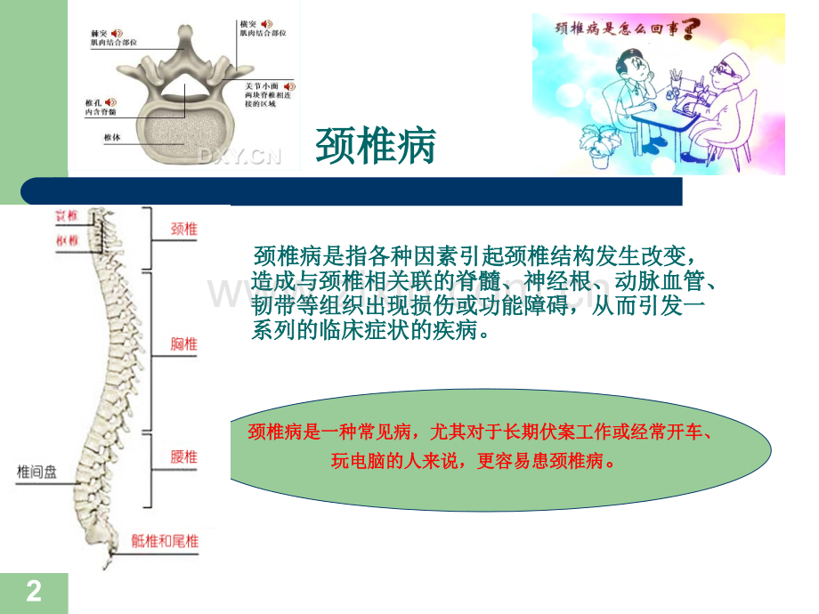 颈腰椎保健操课件PPT.ppt_第2页