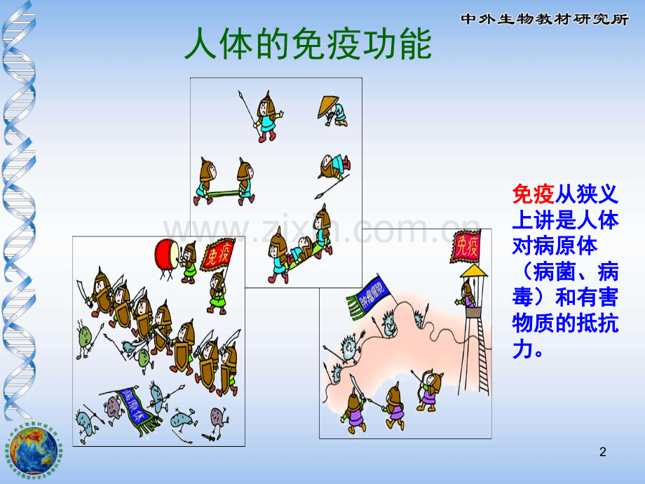 免疫(课堂PPT).ppt_第2页