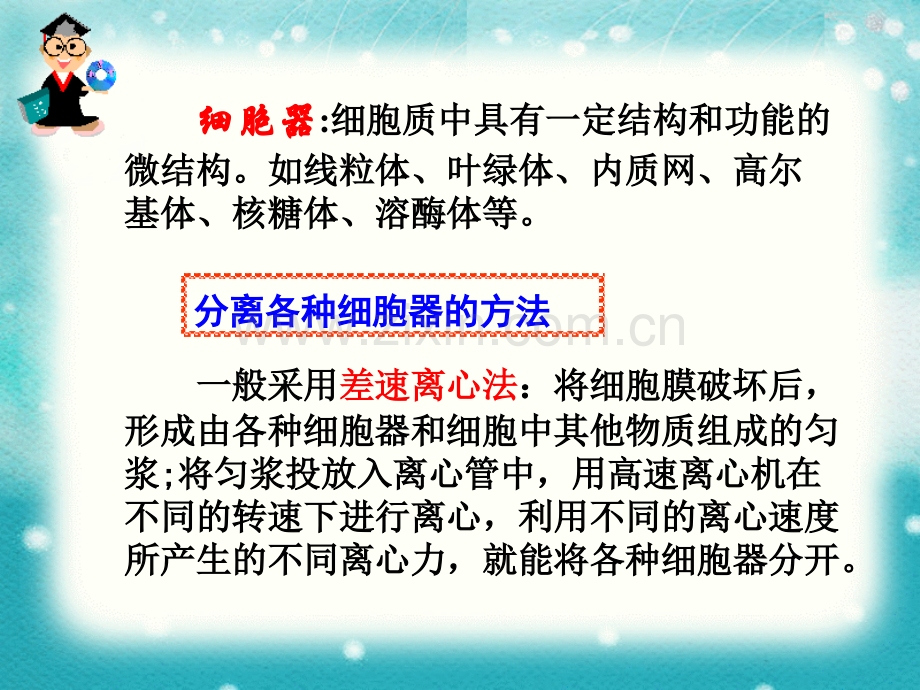 细胞的类型和结构细胞器.pptx_第3页