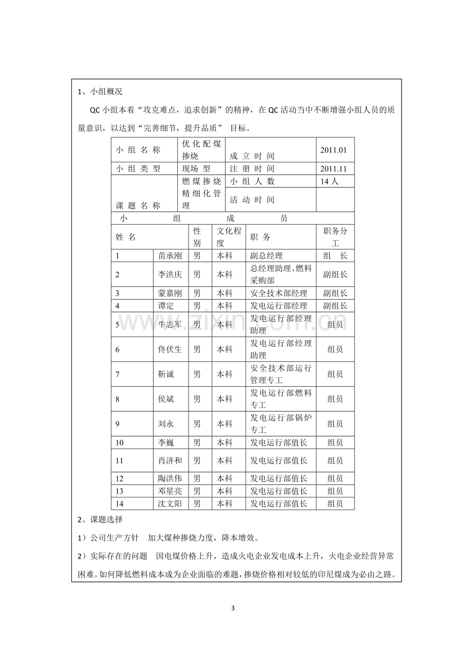 燃煤掺烧精细化管理.doc_第3页