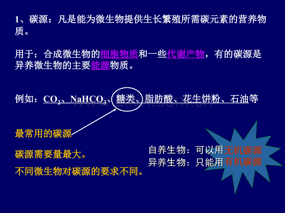 微生物的营养代谢和生长.pptx_第3页