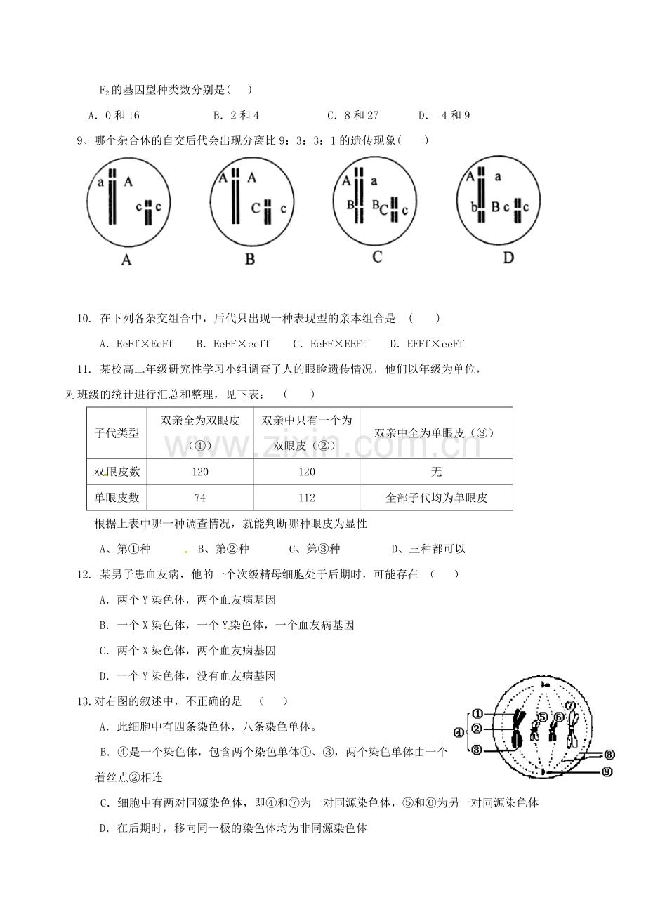 高一生物下学期期中试题无答案.doc_第2页