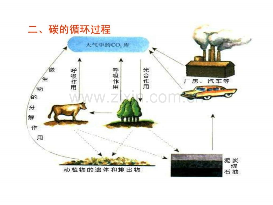 生态系统的物质循环文科6.pptx_第3页