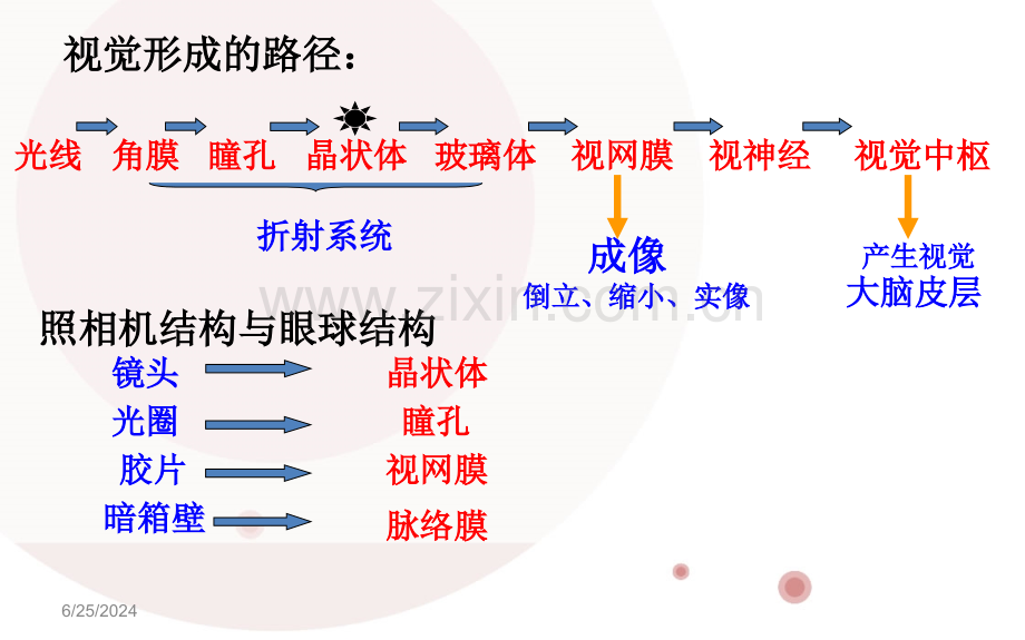 英语复习资料.pptx_第2页