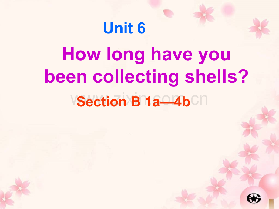 新目标初中英语八年级下册Unit6Howlonghaveyoubeencollectingshells-SectionB1a4b2.pptx_第2页