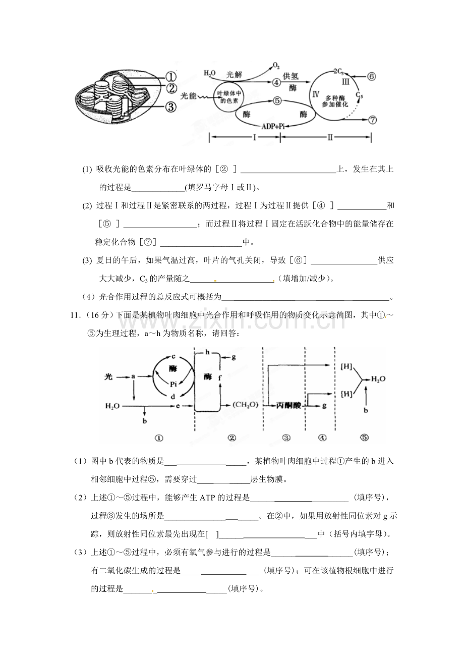 广东省信宜市第二中学2014高中生物--细胞的能量供应和利用单元测试题-新人教版必修1.doc_第3页