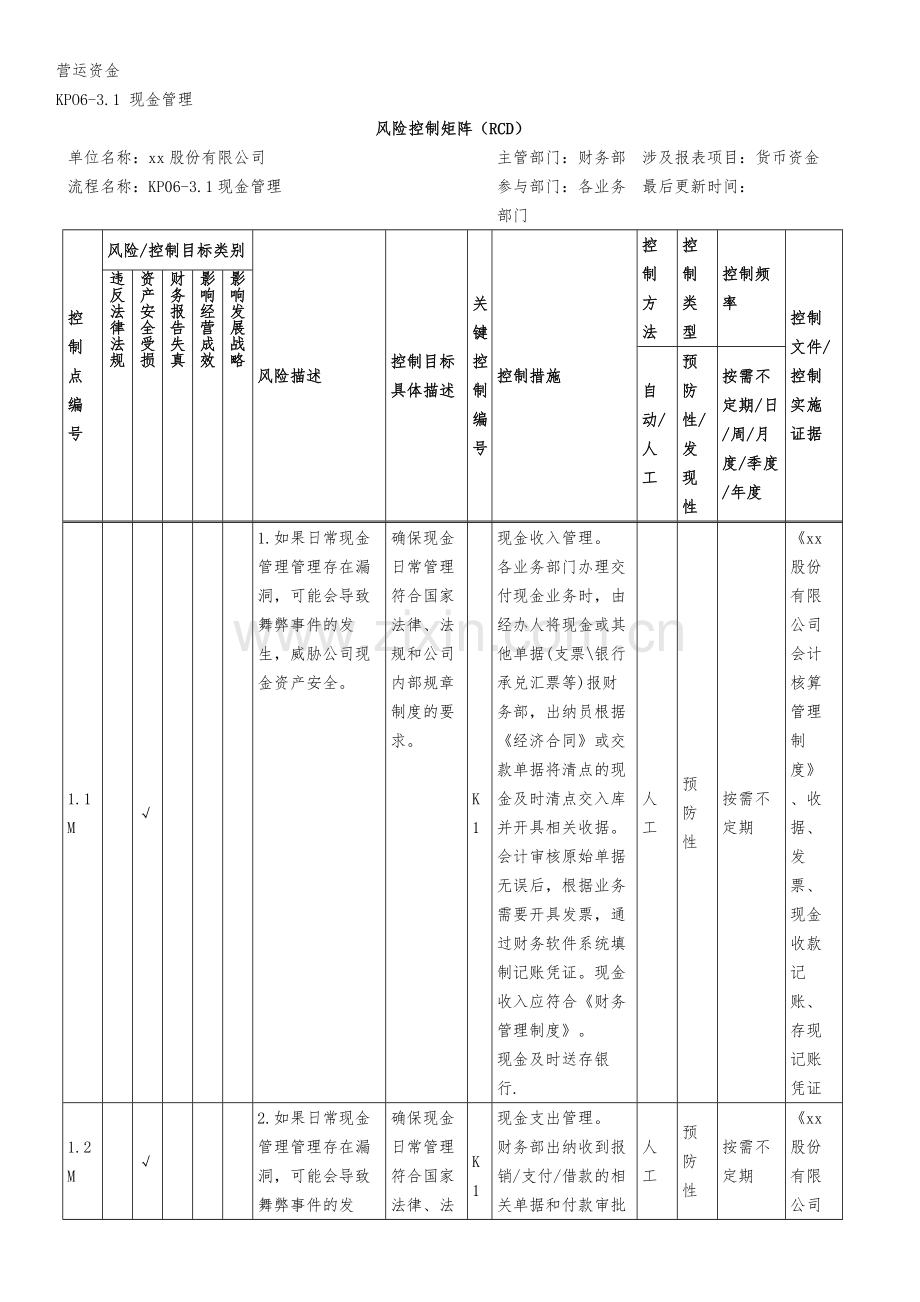 风险控制矩阵(RCD)-现金管理模版.docx_第1页