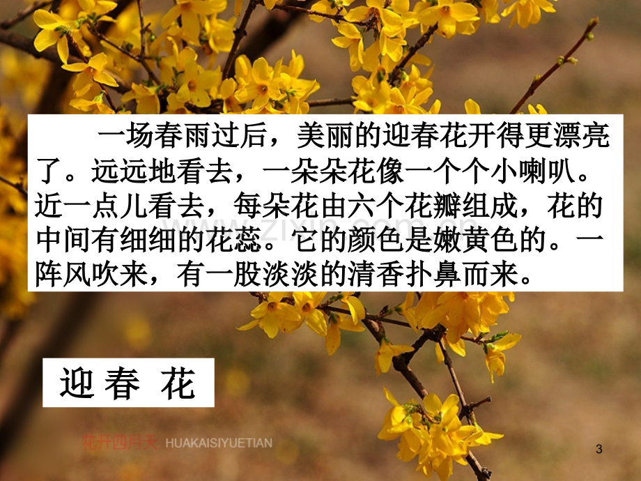 我喜欢的季节--作文指导.ppt_第3页