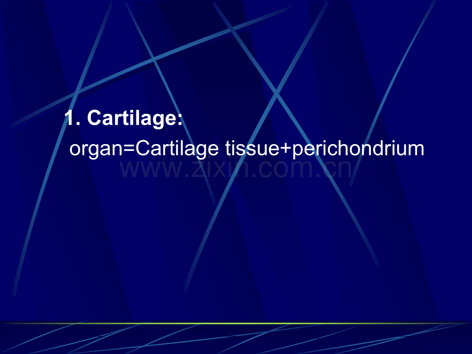 软骨和骨组织学和胚胎学.pptx_第2页