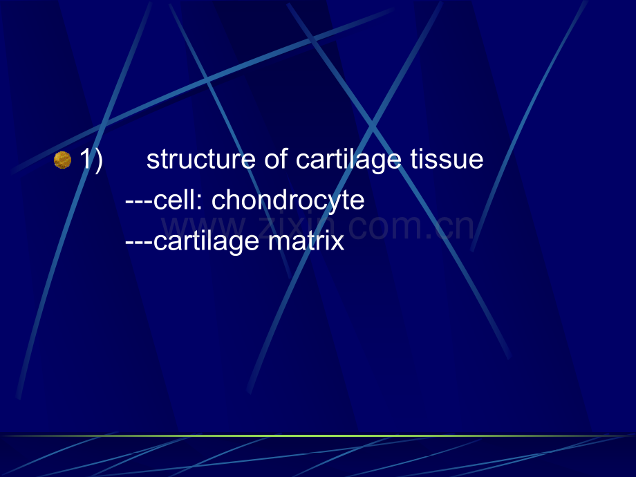 软骨和骨组织学和胚胎学.pptx_第3页