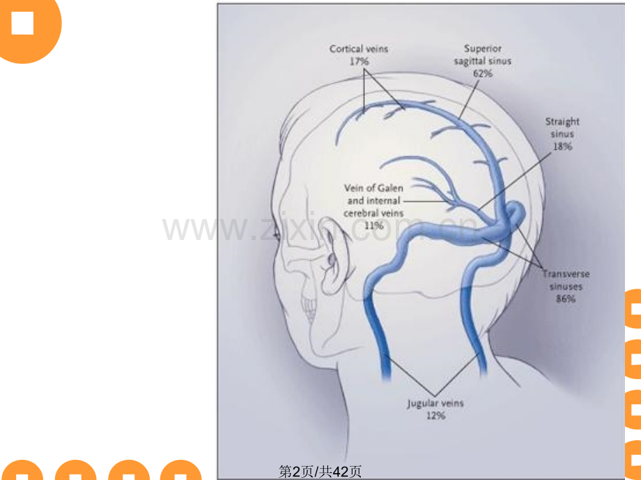大脑静脉系统简略版.pptx_第2页
