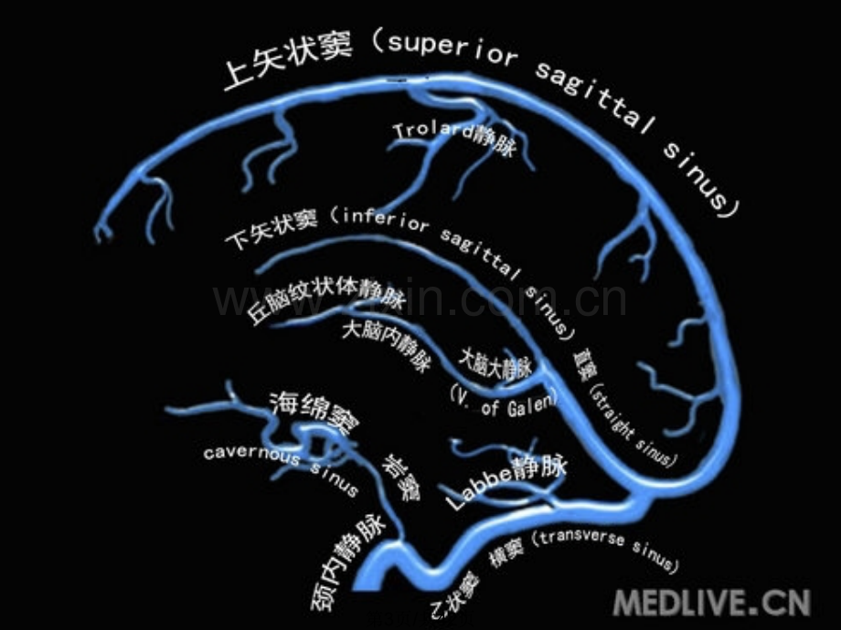 大脑静脉系统简略版.pptx_第3页