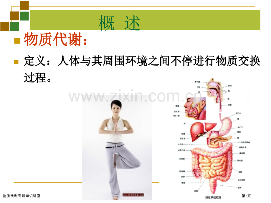 物质代谢专题知识讲座.pptx_第3页