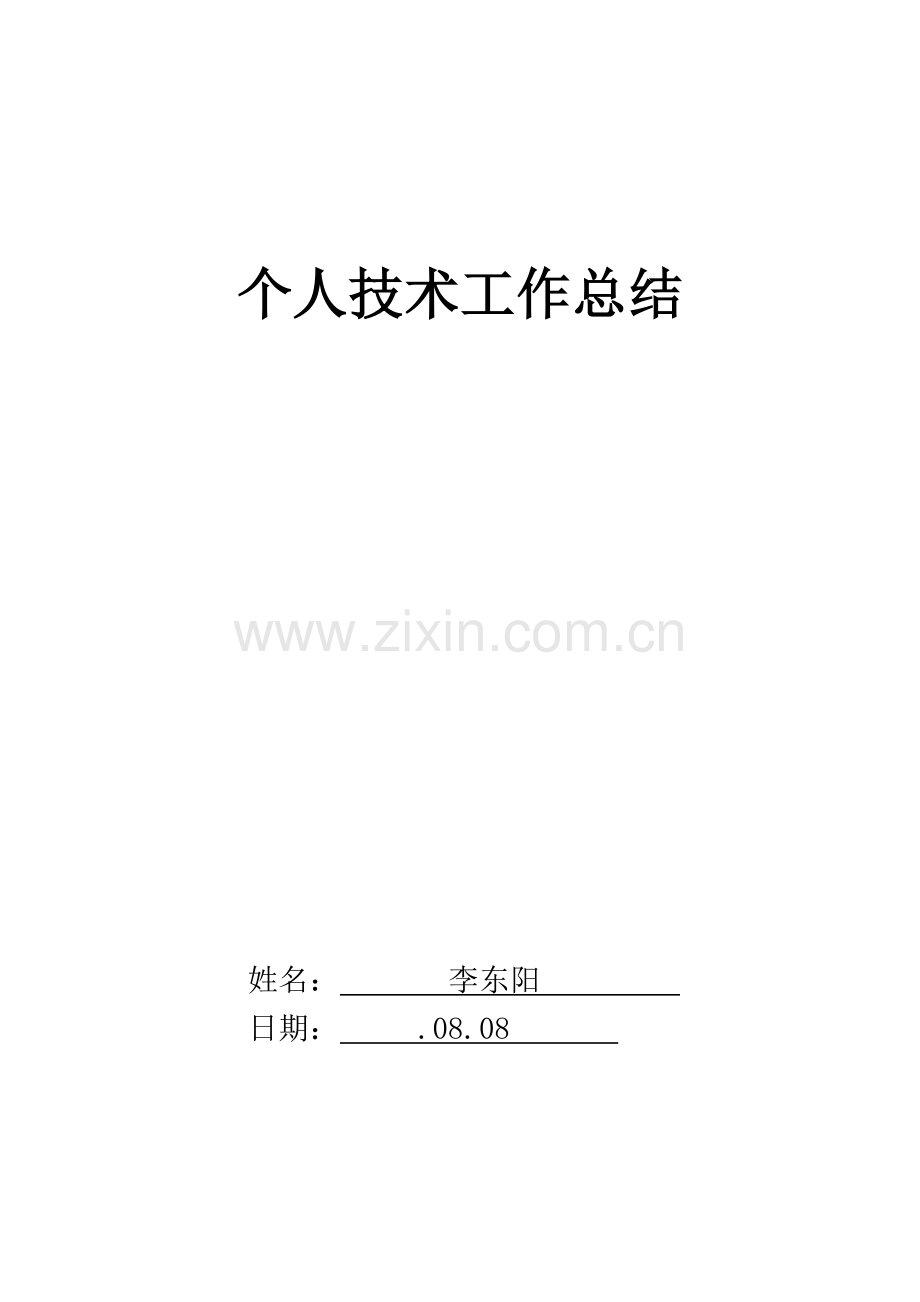 个人技术工作总结.docx_第1页