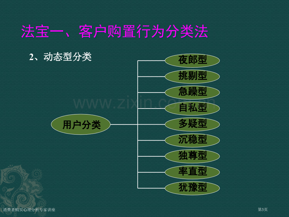 消费者购买心理分析专家讲座.pptx_第3页