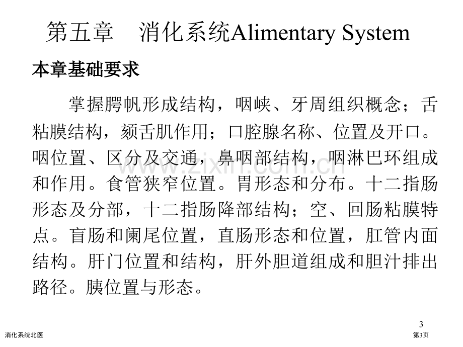 消化系统北医.pptx_第3页