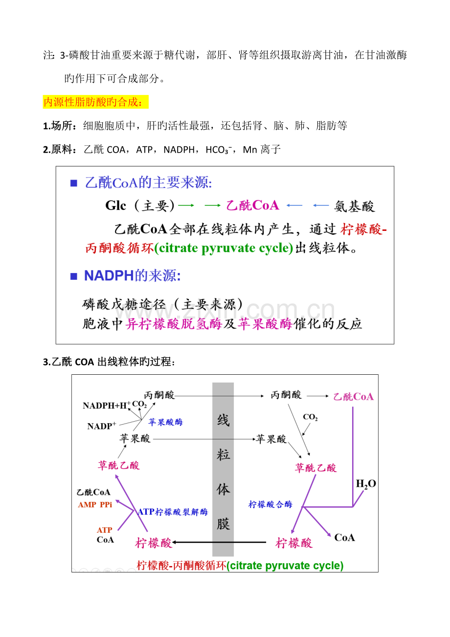 2023年生物化学脂质代谢知识点总结.doc_第3页