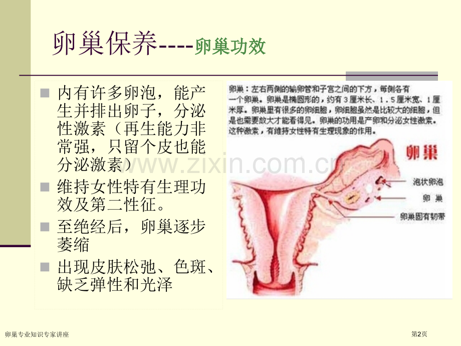 卵巢专业知识专家讲座.pptx_第2页